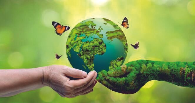 Save Environment